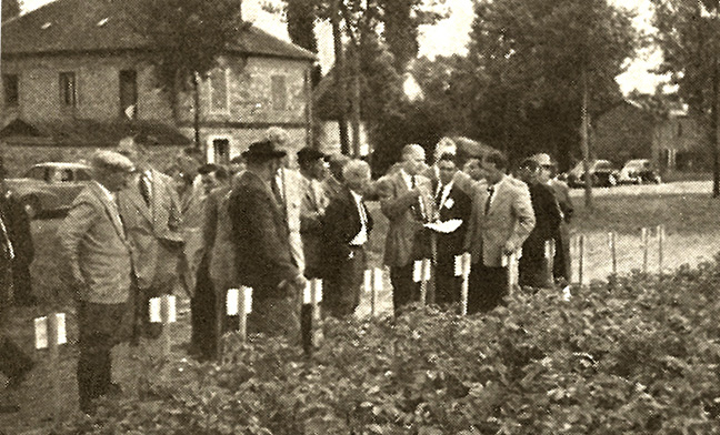 1960 groupeCETA cetadefrance